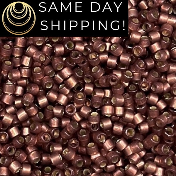 SAME DAY SHIPPING! 1-20 Grams Miyuki 11/0 Delica Beads Duracoat Semi-Frosted Silver-Lined Dyed Raisin DB2183-Free Container!