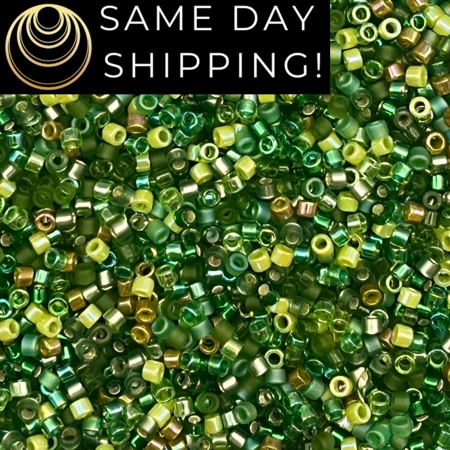 DBMIX03 SAME DAY SHIPPING! 1-20 Grams Miyuki 11/0 Delica Beads Evergreen -Free Container!