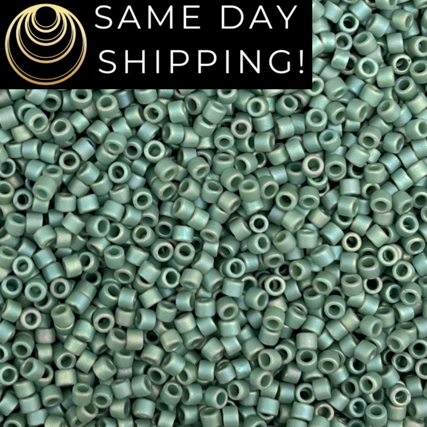 DB2311 SAME DAY SHIPPING! 1-20 Grams Miyuki 11/0 Delica Beads Matte Opaque Glazed Turtle Green -Free Container!