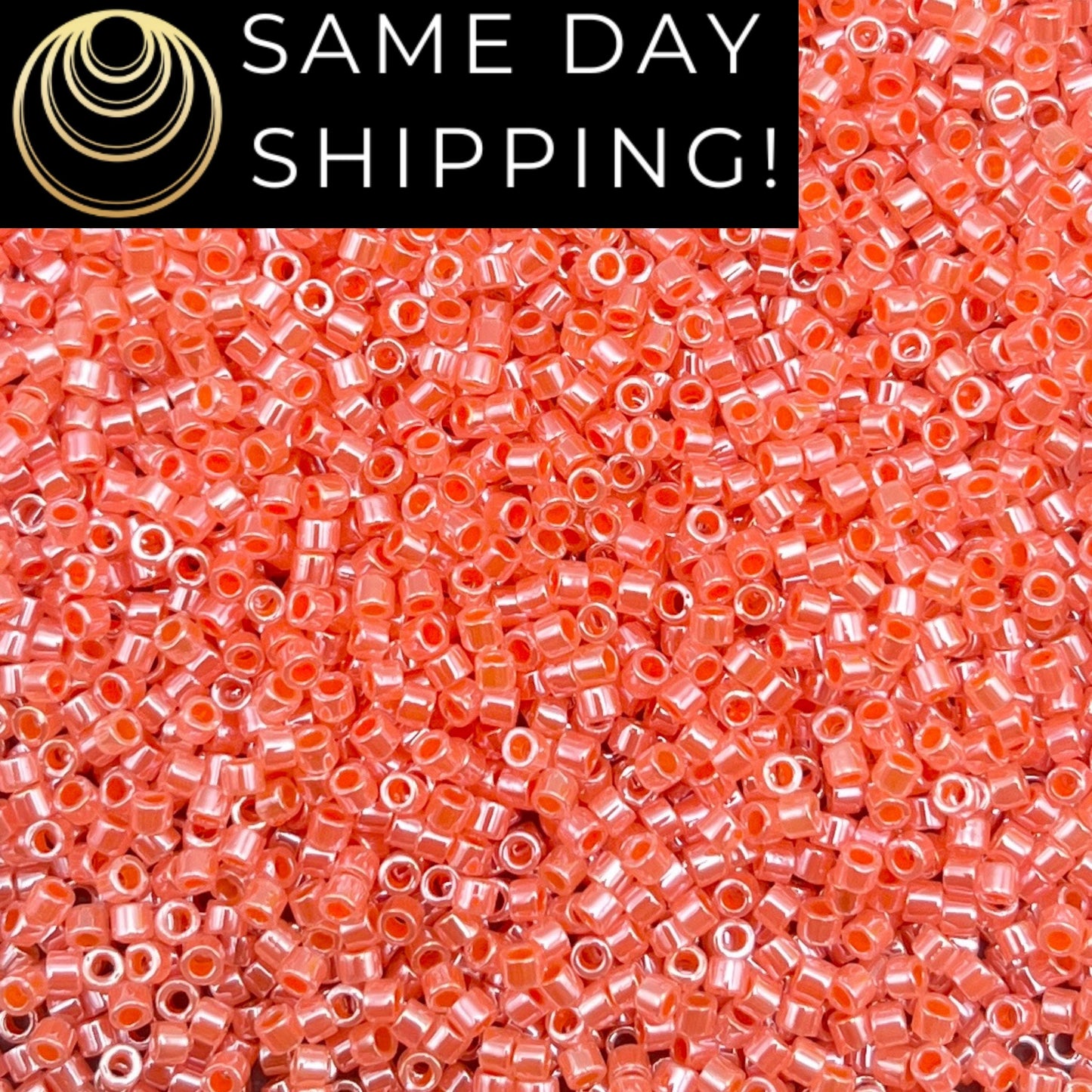DB235 SAME DAY SHIPPING! 1-20 Grams Miyuki 11/0 Delica Beads Salmon Ceylon -Free Container!