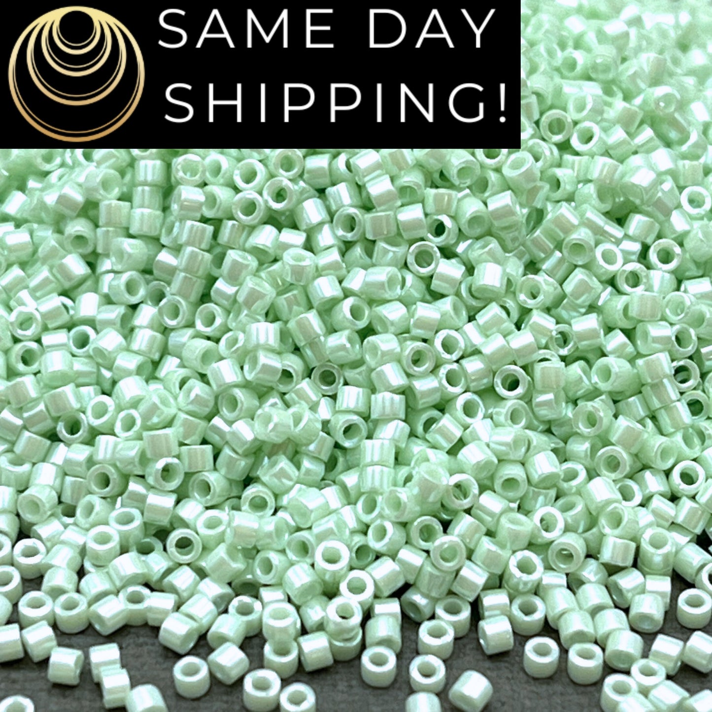 DB1536 SAME DAY SHIPPING! 1-20 Grams Miyuki 11/0 Delica Beads Opaque Light Mint Ceylon, Cylinder Seed Bead, Pastel Green Free Container!