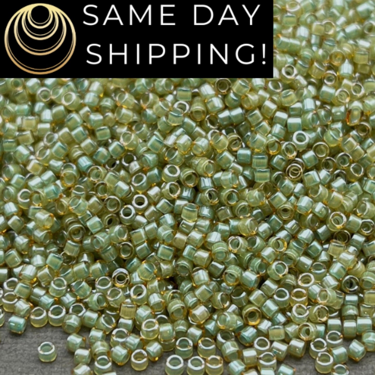DB2052 SAME DAY SHIPPING! 1-20 Grams Miyuki 11/0 Delica Beads Luminous Asparagus Green-Free Container!