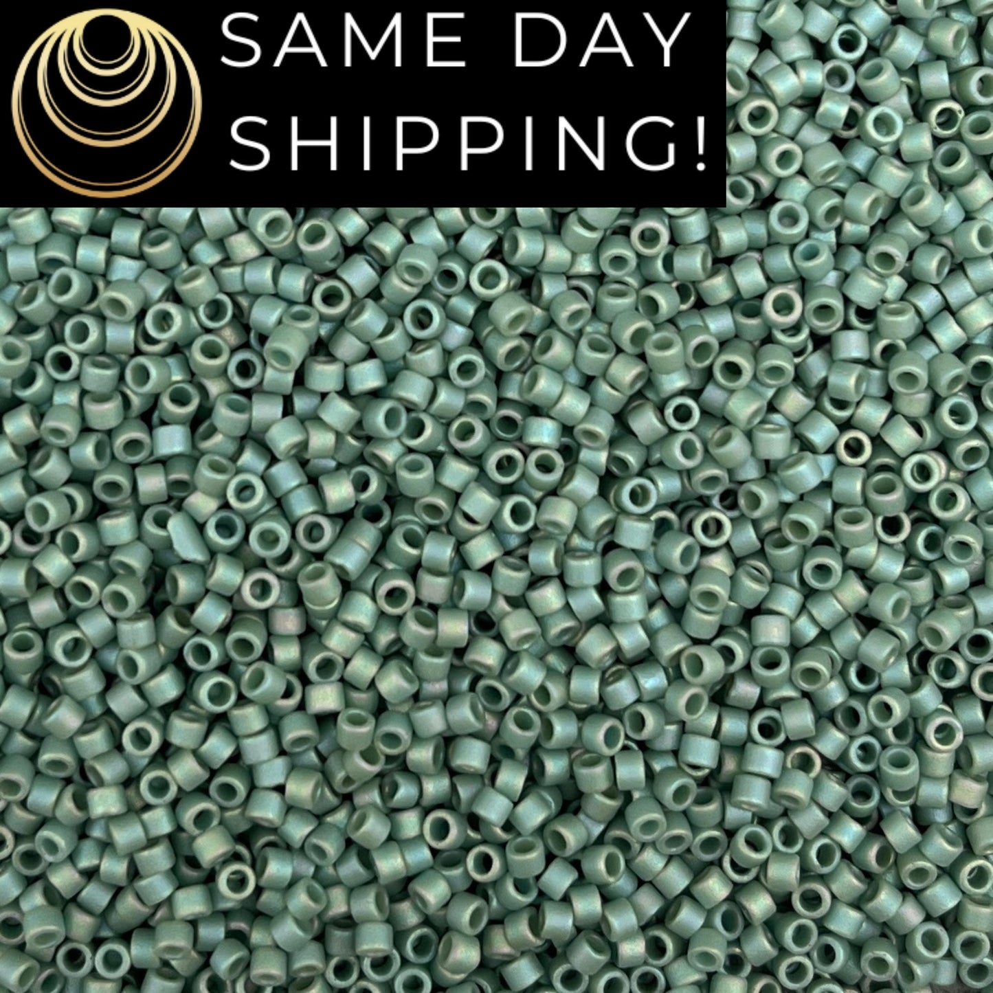 DB2311 SAME DAY SHIPPING! 1-20 Grams Miyuki 11/0 Delica Beads Matte Opaque Glazed Turtle Green -Free Container!