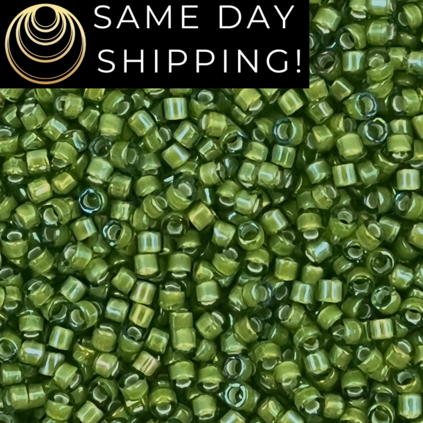 DB1786 SAME DAY SHIPPING! 1-20 Grams Miyuki 11/0 Delica Beads White Lined Light Green Luminous -Free Container!