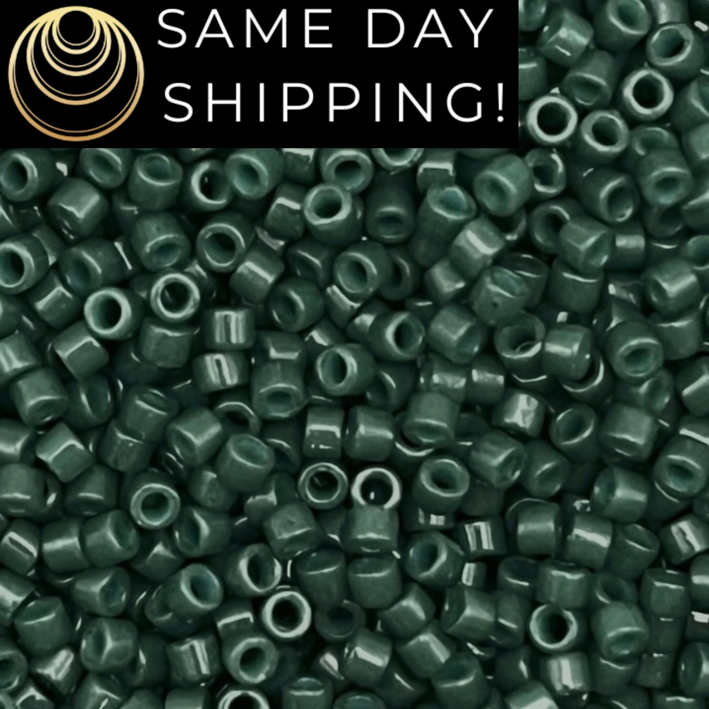 DB2358 SAME DAY SHIPPING! 1-20 Grams Miyuki 11/0 Delica Beads Duracoat Opaque Dyed Evergreen -Free Container!