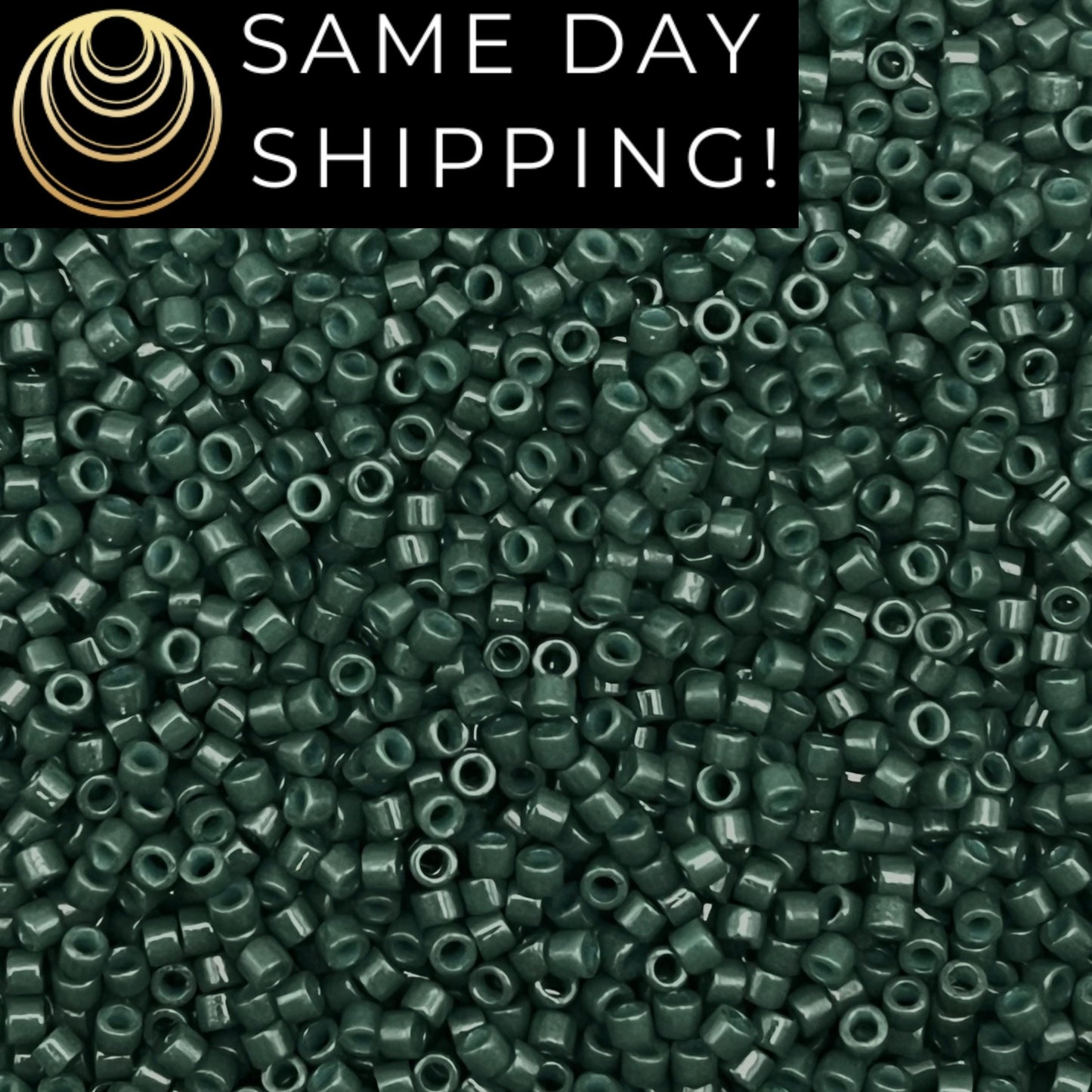 DB2358 SAME DAY SHIPPING! 1-20 Grams Miyuki 11/0 Delica Beads Duracoat Opaque Dyed Evergreen -Free Container!