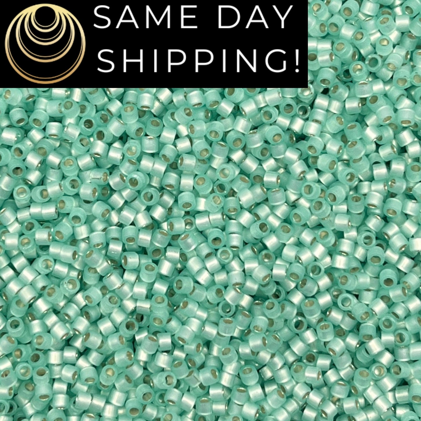 DB626 SAME DAY SHIPPING! 1-20 Grams Miyuki 11/0 Delica Beads Dyed Light Aqua Green Silver Lined Alabaster-Free Container!