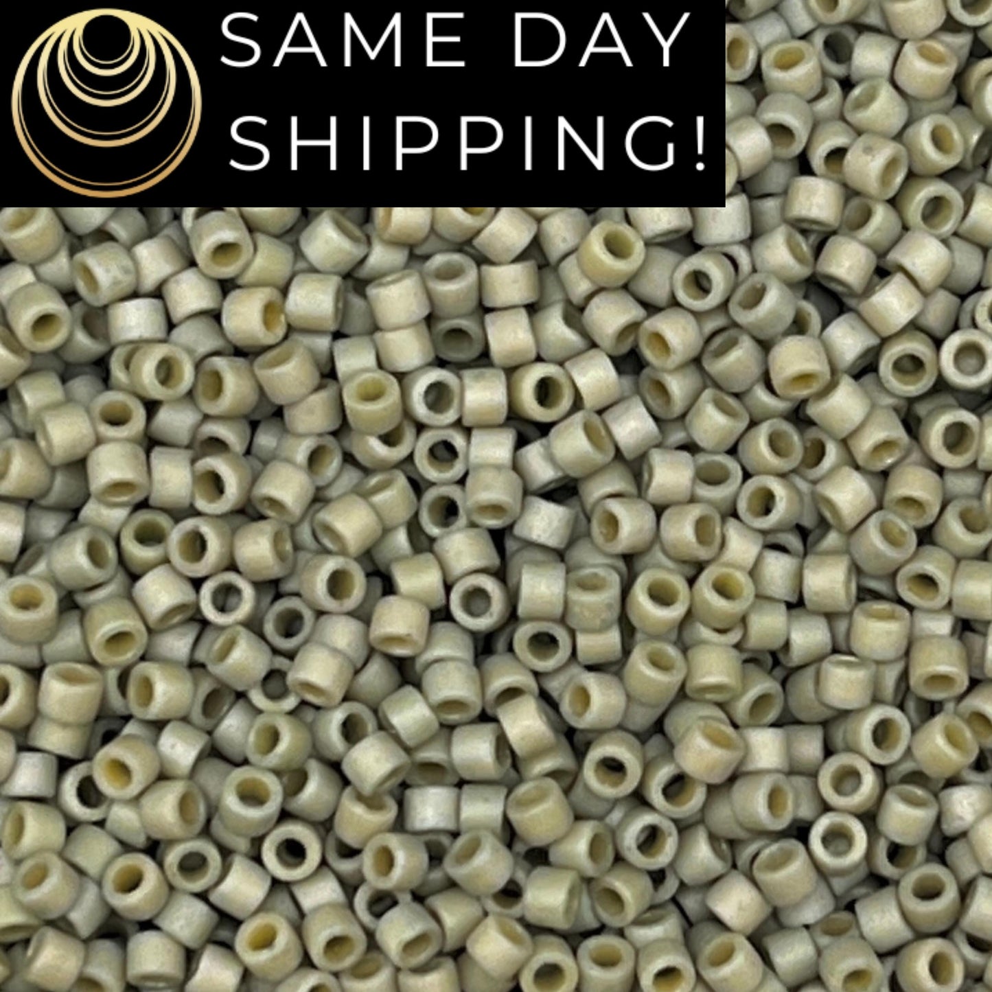 DB2282 SAME DAY SHIPPING! 1-20 Grams Miyuki 11/0 Delica Beads Matte Opaque Glazed Cactus -Free Container!