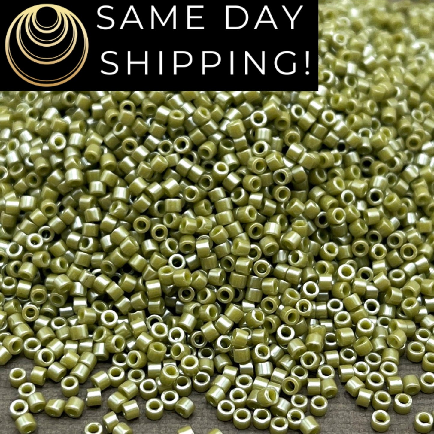 DB263 SAME DAY SHIPPING! 1-20 Grams Miyuki 11/0 Delica Beads Opaqu Cactus Luster Shiny Olive Green-Free Container!
