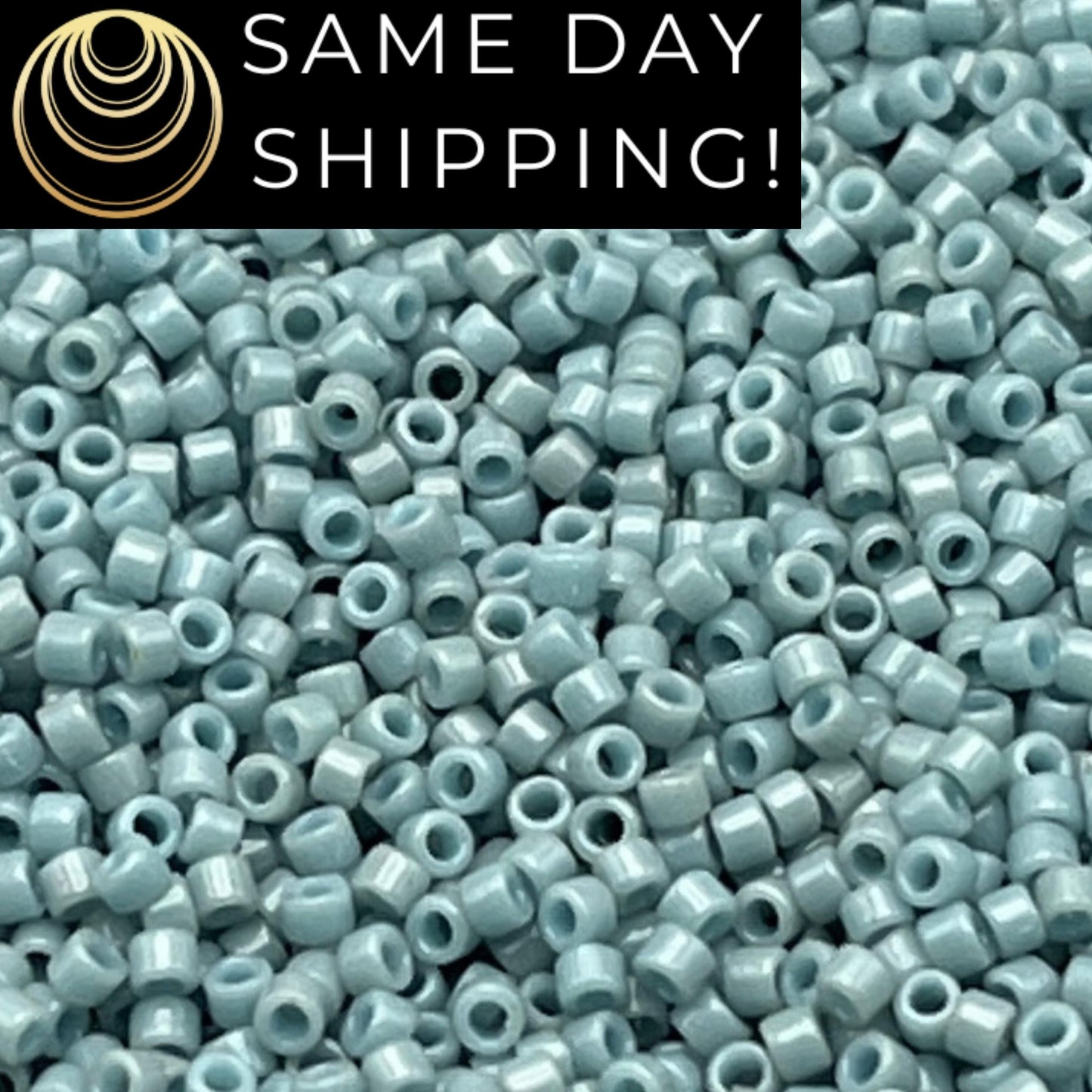SAME DAY SHIPPING! 1-20 Grams Miyuki 11/0 Delica Beads DB2129 Duracoat Opaque Moody Blue -Free Container!