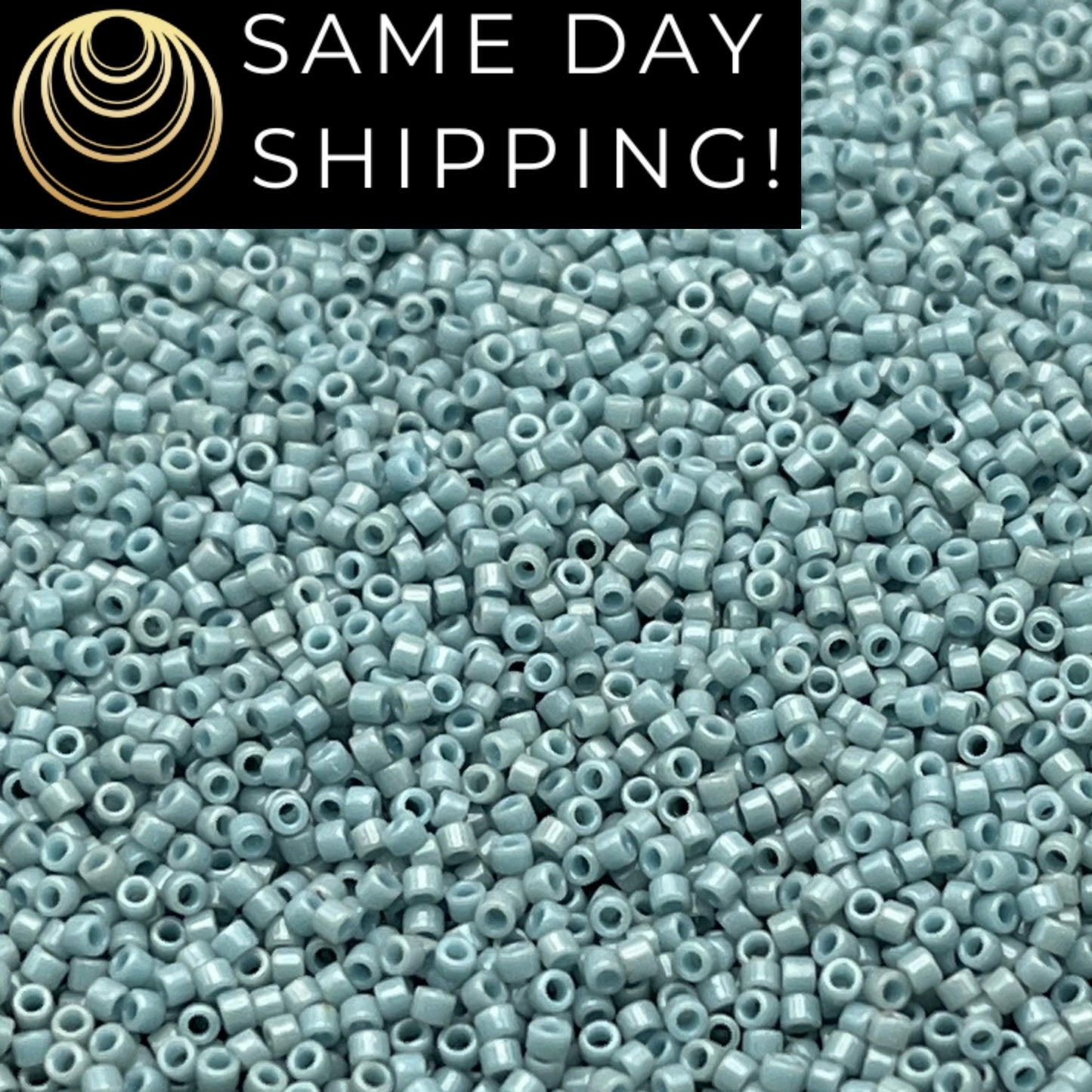 SAME DAY SHIPPING! 1-20 Grams Miyuki 11/0 Delica Beads DB2129 Duracoat Opaque Moody Blue -Free Container!
