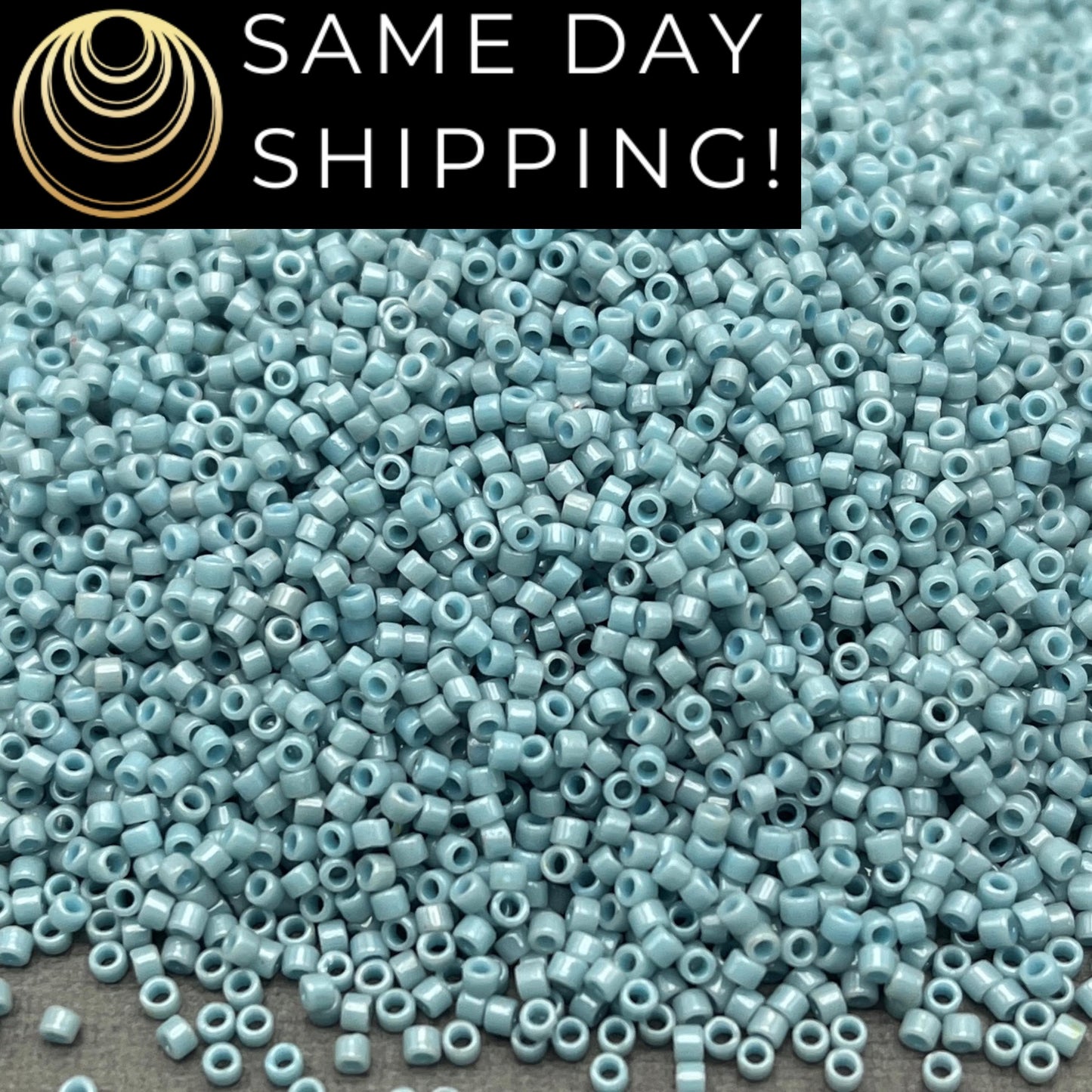 SAME DAY SHIPPING! 1-20 Grams Miyuki 11/0 Delica Beads DB2129 Duracoat Opaque Moody Blue -Free Container!