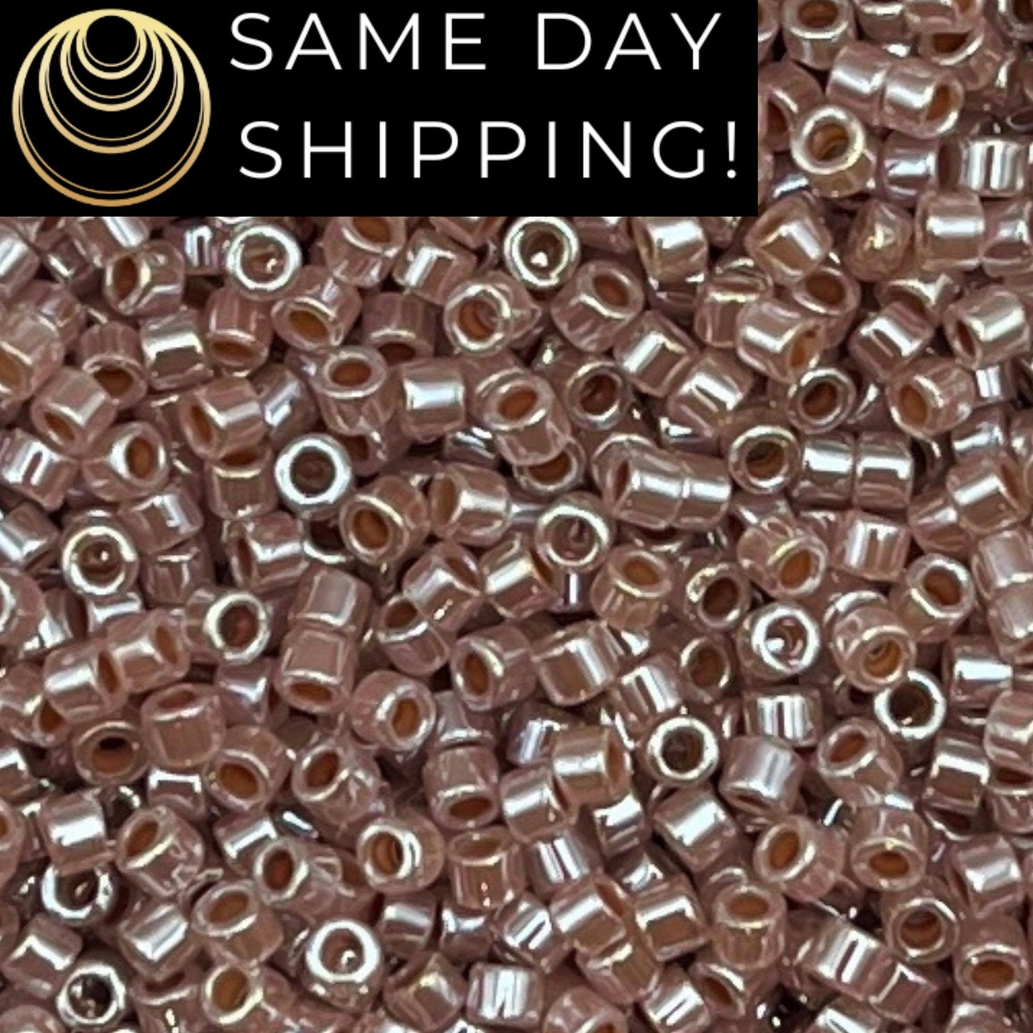 DB254 SAME DAY SHIPPING! 1-20 Grams Miyuki 11/0 Delica Beads Light Cinnamon Ceylon-Free Container!