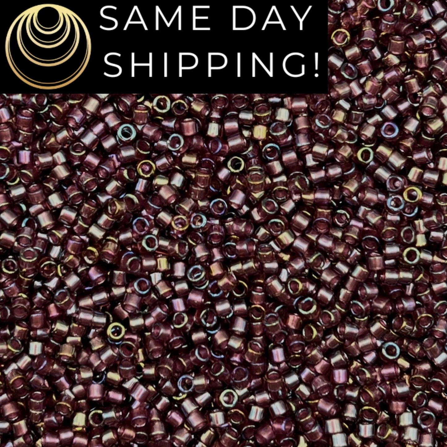DB2390 SAME DAY SHIPPING! 1-20 Grams Miyuki 11/0 Delica Beads Inside Dyed Rainbow Grape-Free Container!