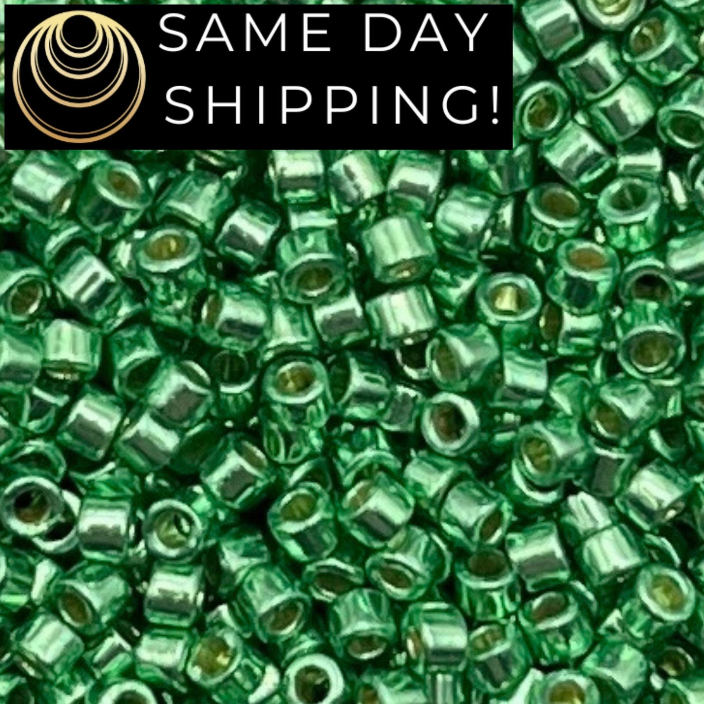 DB1844 SAME DAY SHIPPING! 1 Gram up to 20 Grams Miyuki 11/0 Delica Beads Duracoat Galvanized Dark Mint Green -Free Container!