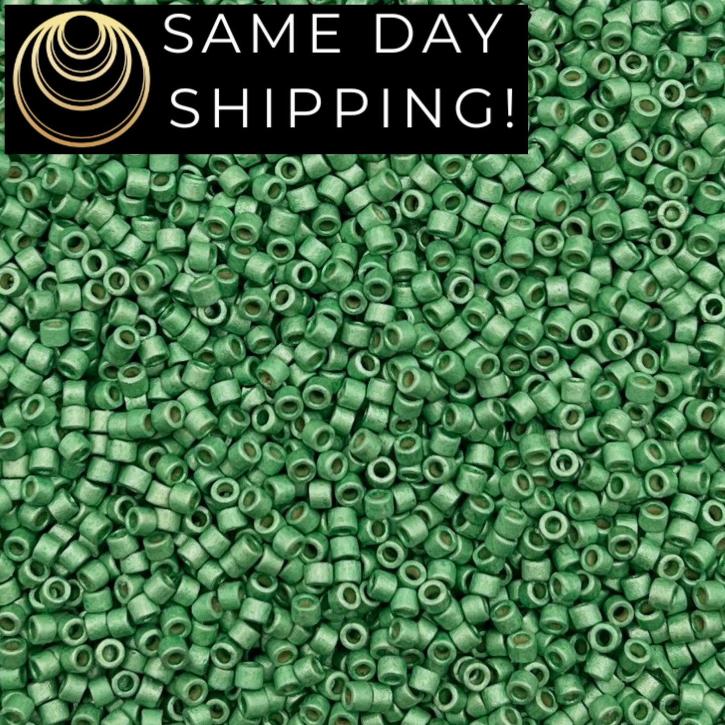 DB1844F SAME DAY SHIPPING! 1 Gram up to 20 Grams Miyuki 11/0 Delica Beads Duracoat Galvanized Matte Dark Mint Green -Free Container!