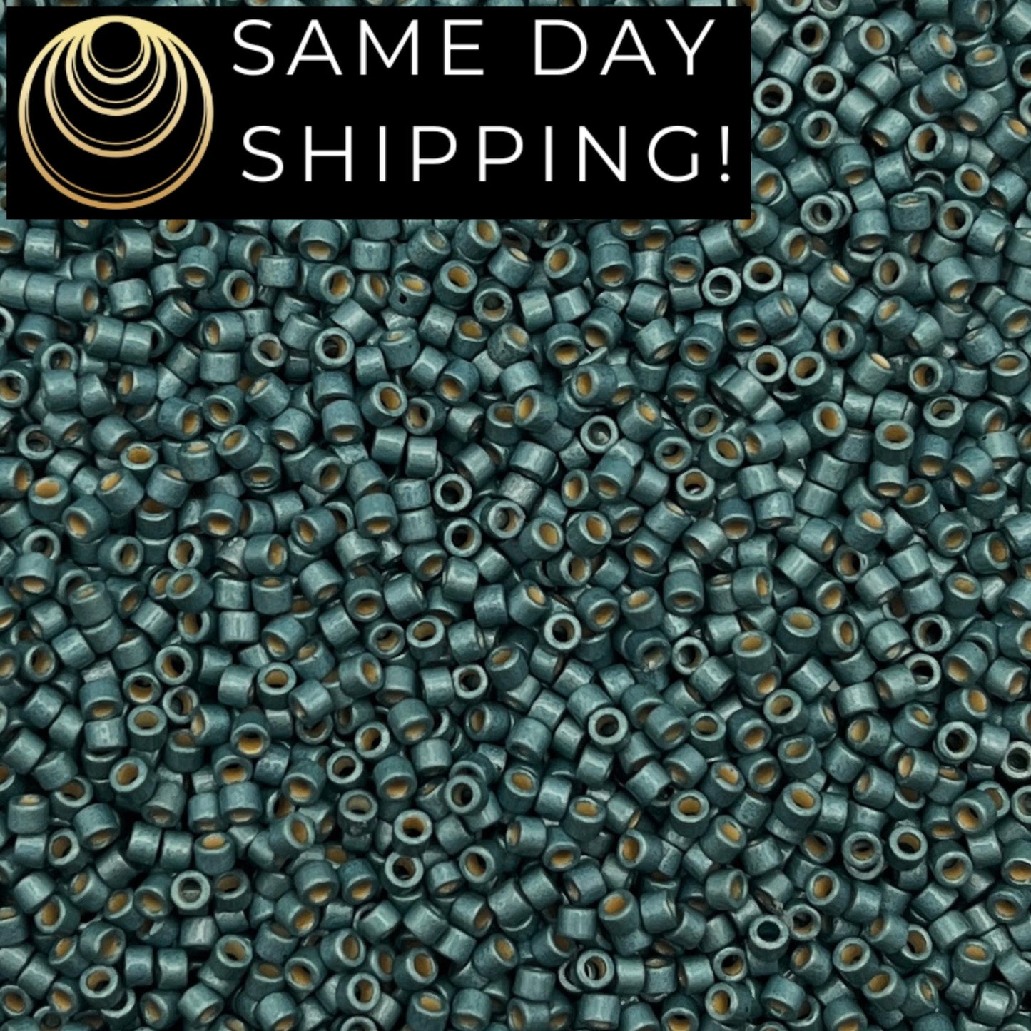 DB1847F SAME DAY SHIPPING! 1 Gram up to 20 Grams Miyuki 11/0 Delica Beads Duracoat Galvanized Matte Seafoam Green -Free Container!
