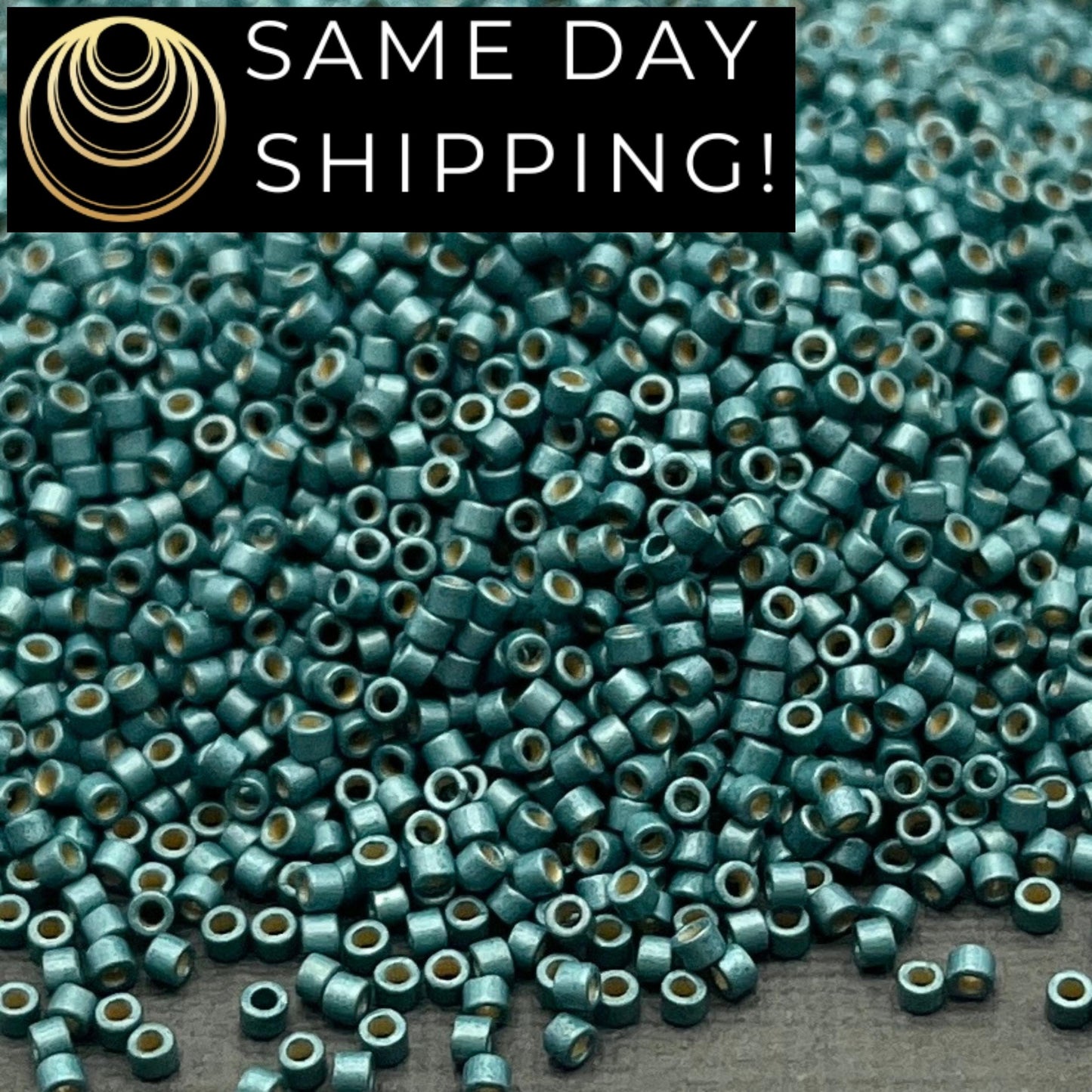 DB1847F SAME DAY SHIPPING! 1 Gram up to 20 Grams Miyuki 11/0 Delica Beads Duracoat Galvanized Matte Seafoam Green -Free Container!