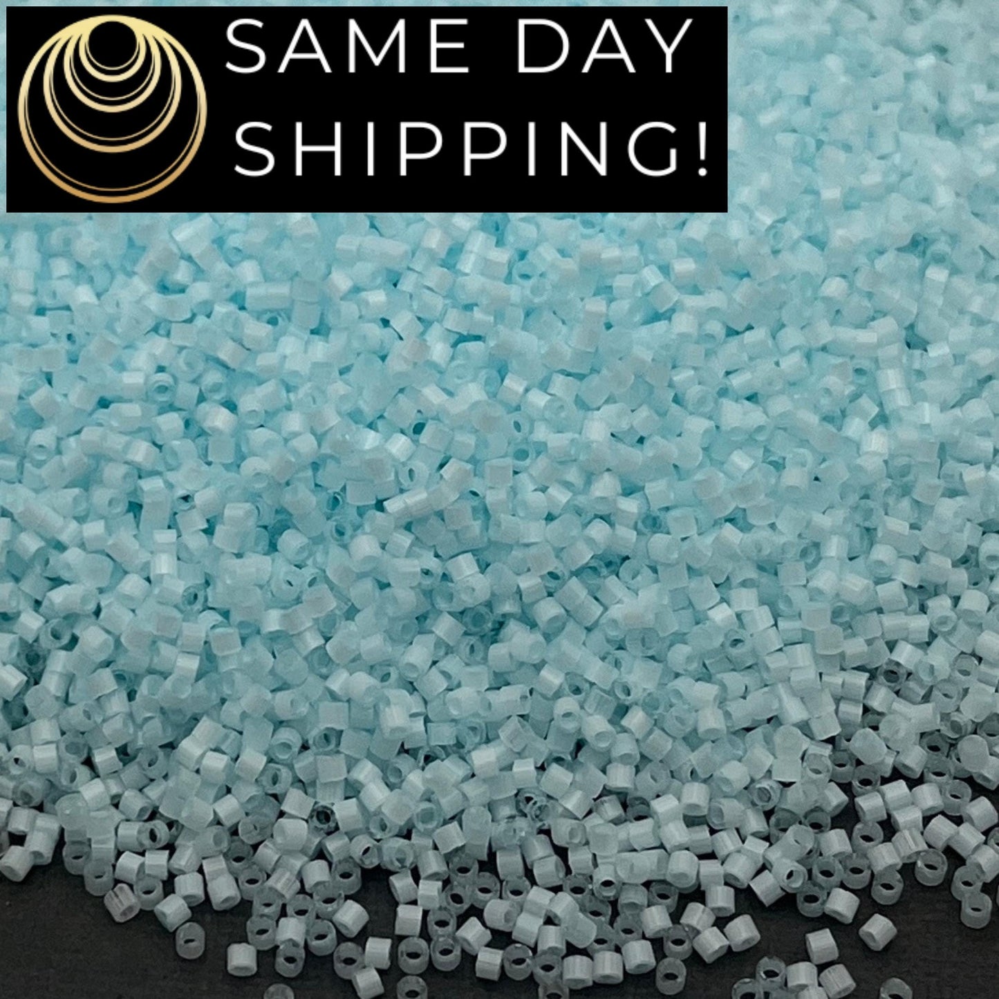 DB1859 SAME DAY SHIPPING! 1 Gram-20 Grams Miyuki 11/0 Delica Beads Silk Inside Dyed Frozen Blue -Free Container!