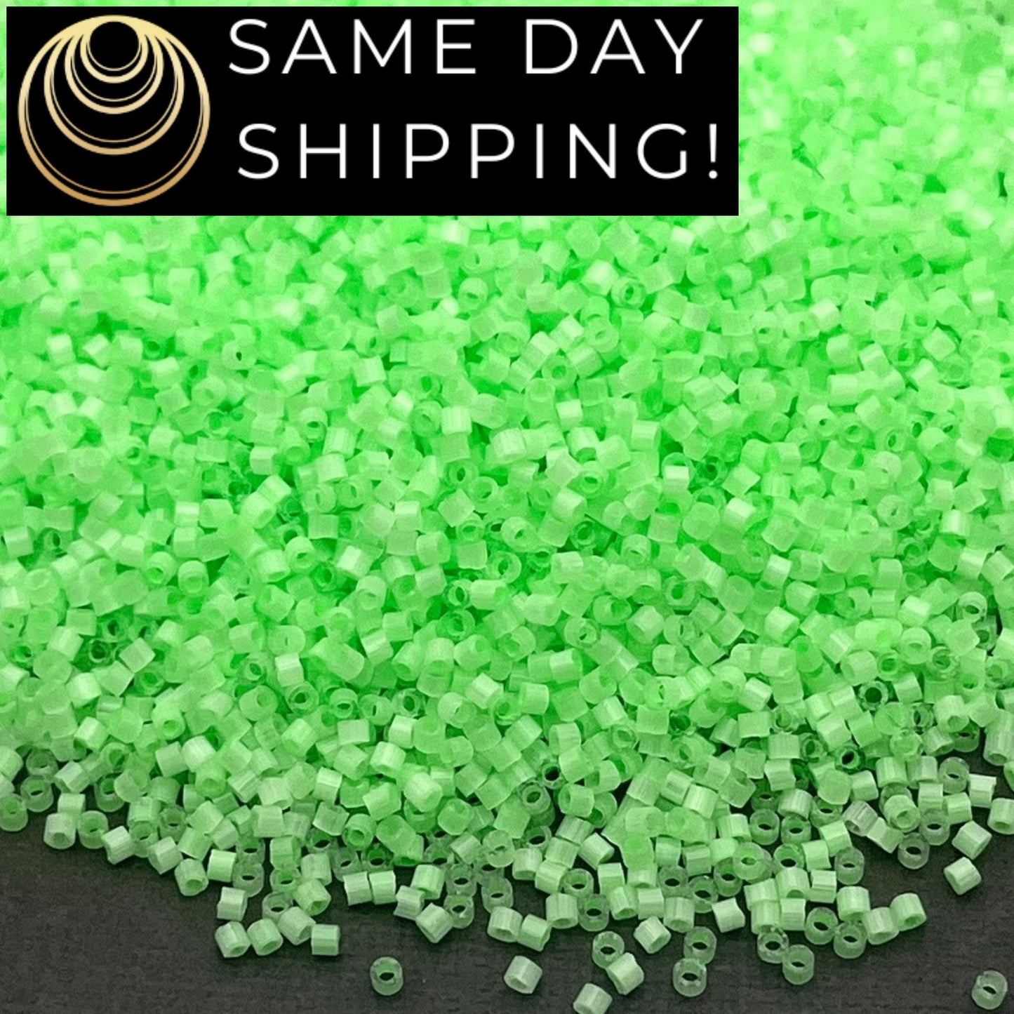 DB1858 SAME DAY SHIPPING! 1 Gram-20 Grams Miyuki 11/0 Delica Beads Silk Inside Dyed Mint Green -Free Container!