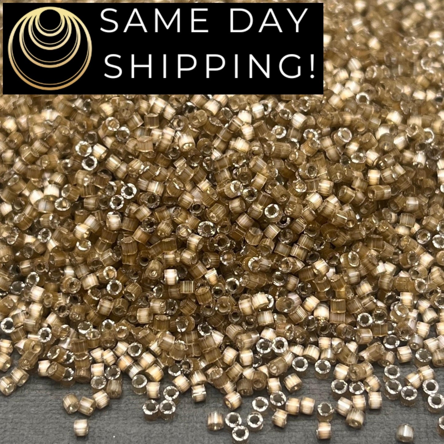 DB671 SAME DAY SHIPPING! 1 Gram up to 20 Grams Miyuki 11/0 Delica Beads Silver Lined Variegated Taupe Silk Satin DB0671 -Free Container!