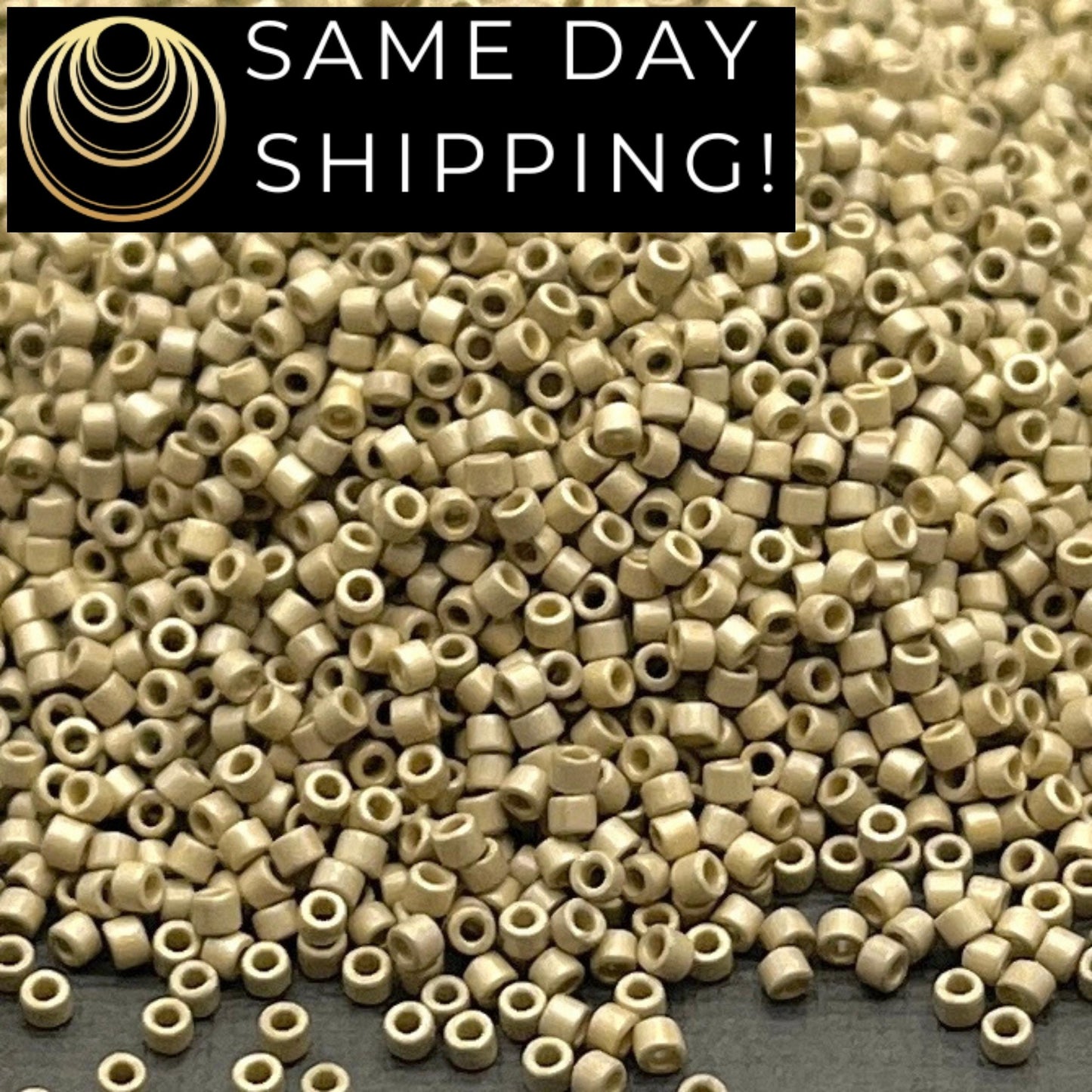 DB1831F SAME DAY SHIPPING! 1 Gram up to 20 Grams Miyuki 11/0 Delica Beads Duracoat Galvanized Matte Silver -Free Container!