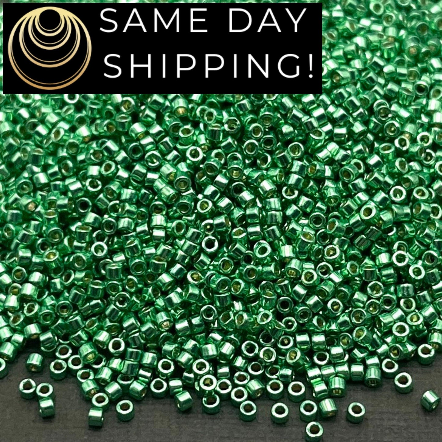 DB1844 SAME DAY SHIPPING! 1 Gram up to 20 Grams Miyuki 11/0 Delica Beads Duracoat Galvanized Dark Mint Green -Free Container!