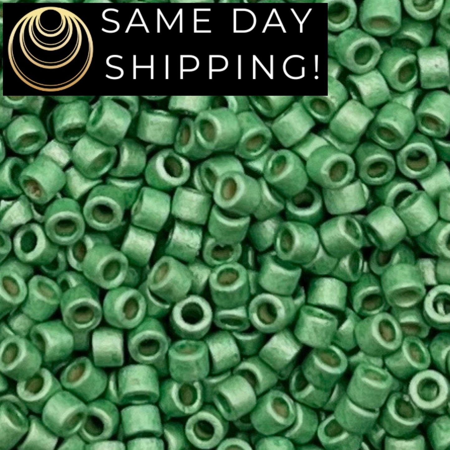 DB1844F SAME DAY SHIPPING! 1 Gram up to 20 Grams Miyuki 11/0 Delica Beads Duracoat Galvanized Matte Dark Mint Green -Free Container!