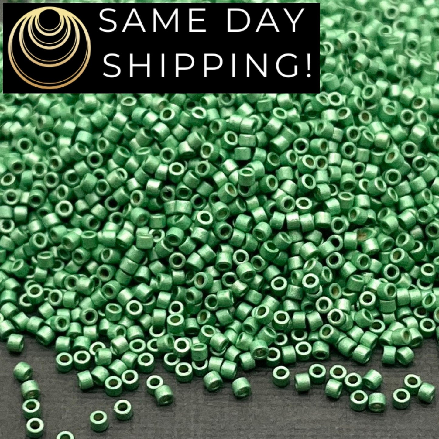 DB1844F SAME DAY SHIPPING! 1 Gram up to 20 Grams Miyuki 11/0 Delica Beads Duracoat Galvanized Matte Dark Mint Green -Free Container!