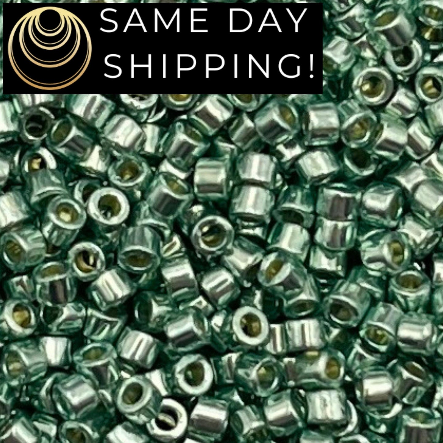 DB1846 SAME DAY SHIPPING! 1 Gram up to 20 Grams Miyuki 11/0 Delica Beads Duracoat Galvanized Dark Sea Foam Green -Free Container!