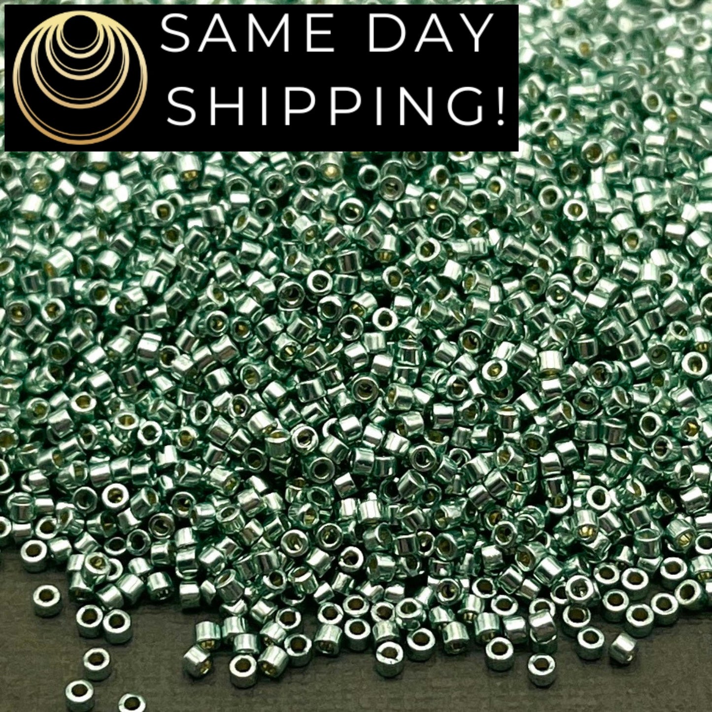 DB1846 SAME DAY SHIPPING! 1 Gram up to 20 Grams Miyuki 11/0 Delica Beads Duracoat Galvanized Dark Sea Foam Green -Free Container!