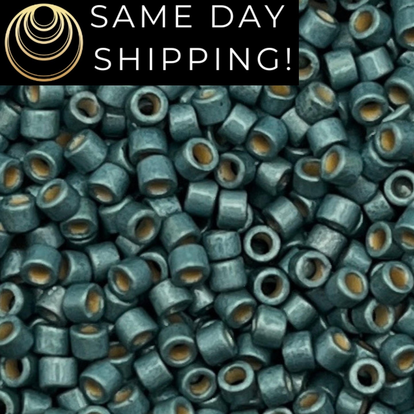 DB1847F SAME DAY SHIPPING! 1 Gram up to 20 Grams Miyuki 11/0 Delica Beads Duracoat Galvanized Matte Seafoam Green -Free Container!