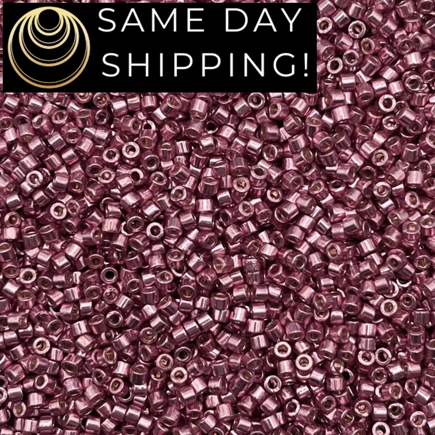 DB1848 SAME DAY SHIPPING! 1 Gram up to 20 Grams Miyuki 11/0 Delica Beads Duracoat Galvanized Dusty Orchid -Free Container!