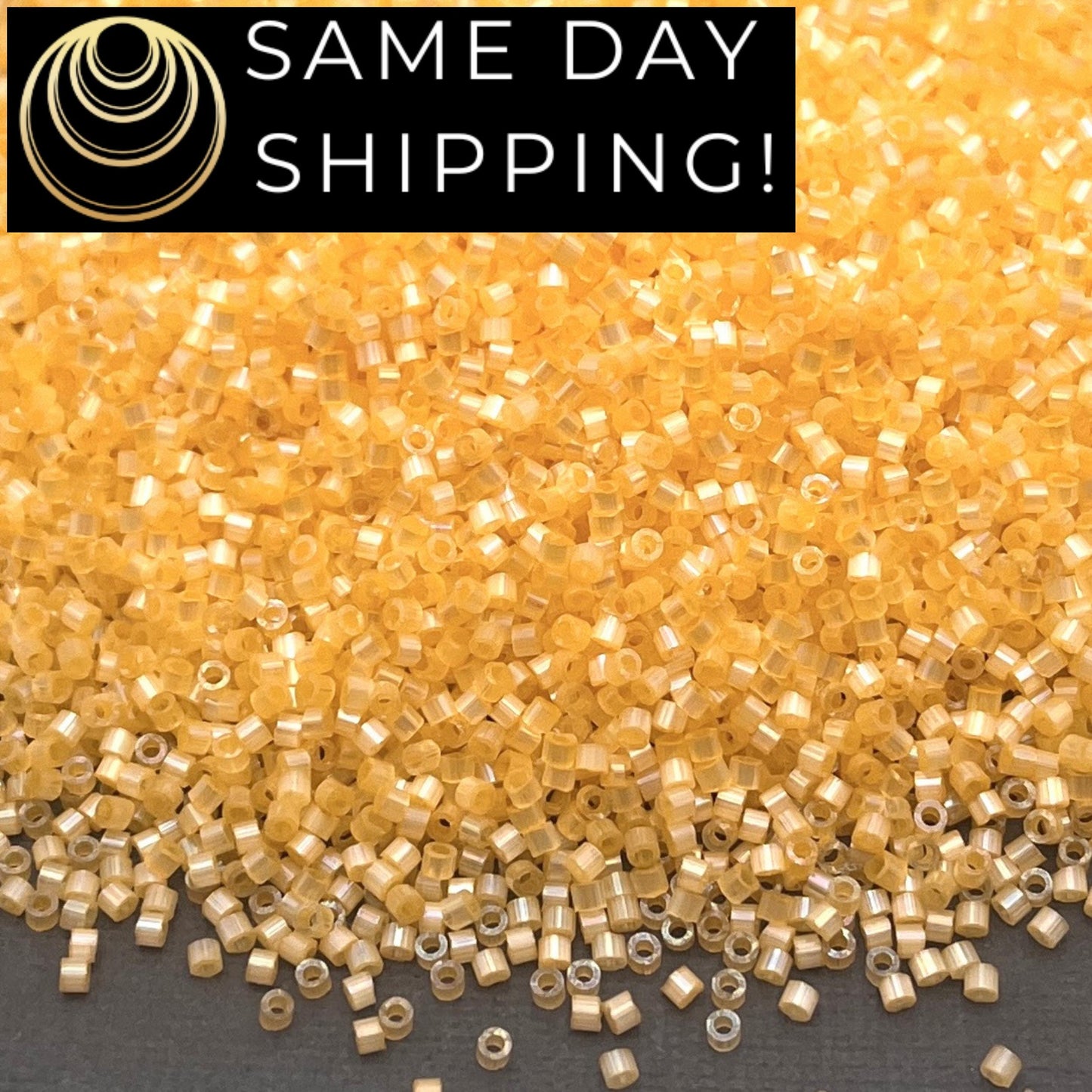 DB1861 SAME DAY Shipping 1 Gram-20 Grams Miyuki 11/0 Delica Beads Silk Inside Dyed Light Apricot AB-Free Container!