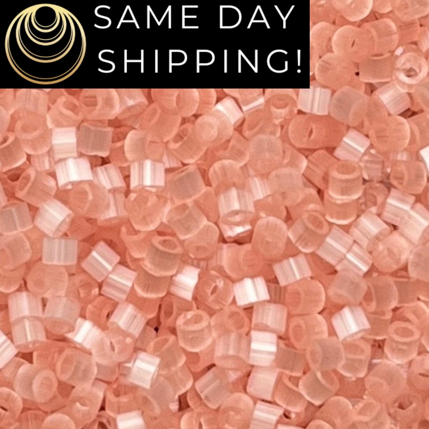 DB825 (1 Gram -20 Grams) Miyuki Size 11/0 Delica Beads Salmon Silk Satin -Free Container! Same Day Shipping!
