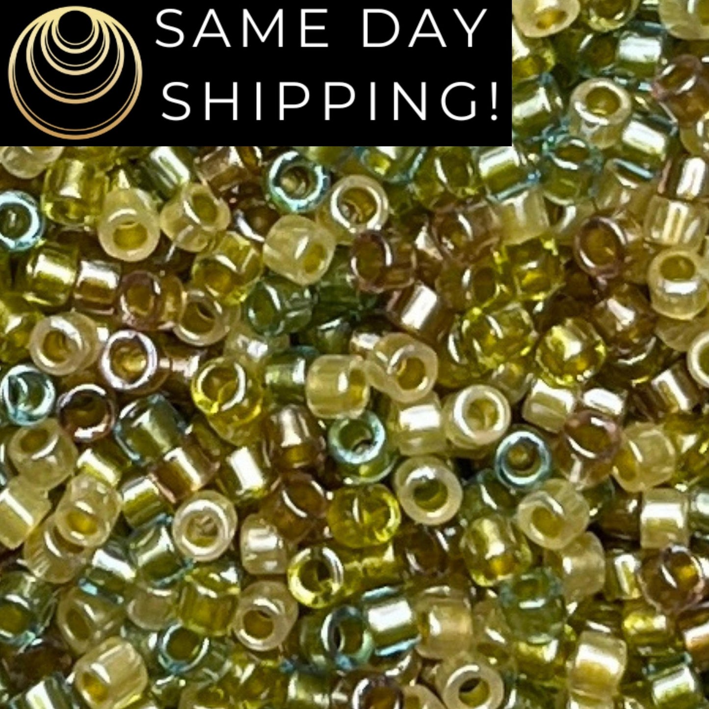 DB989 (1 gram-20 grams) Miyuki Size 11/0 Delica Beads Olive Green Mix-Free Container! Same Day Shipping!