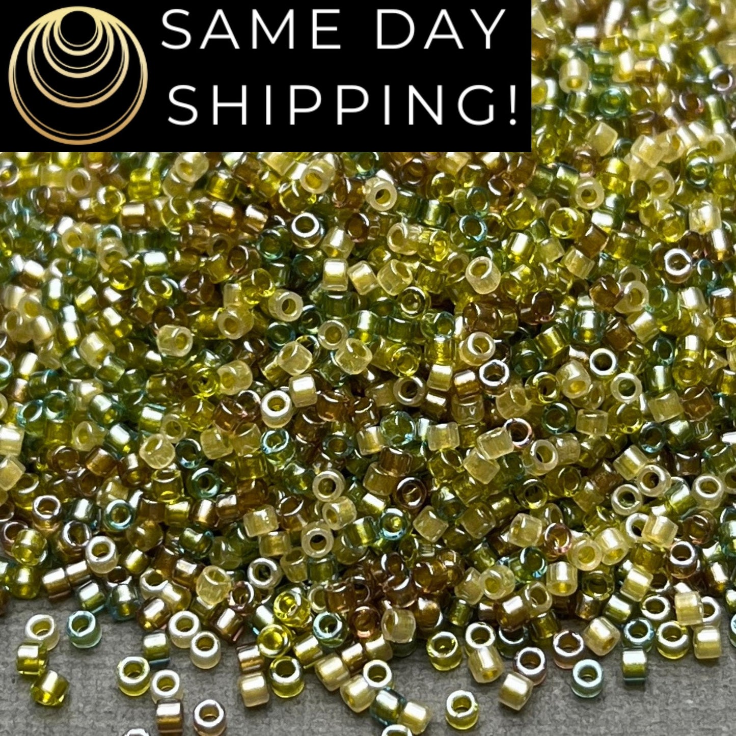 DB989 (1 gram-20 grams) Miyuki Size 11/0 Delica Beads Olive Green Mix-Free Container! Same Day Shipping!
