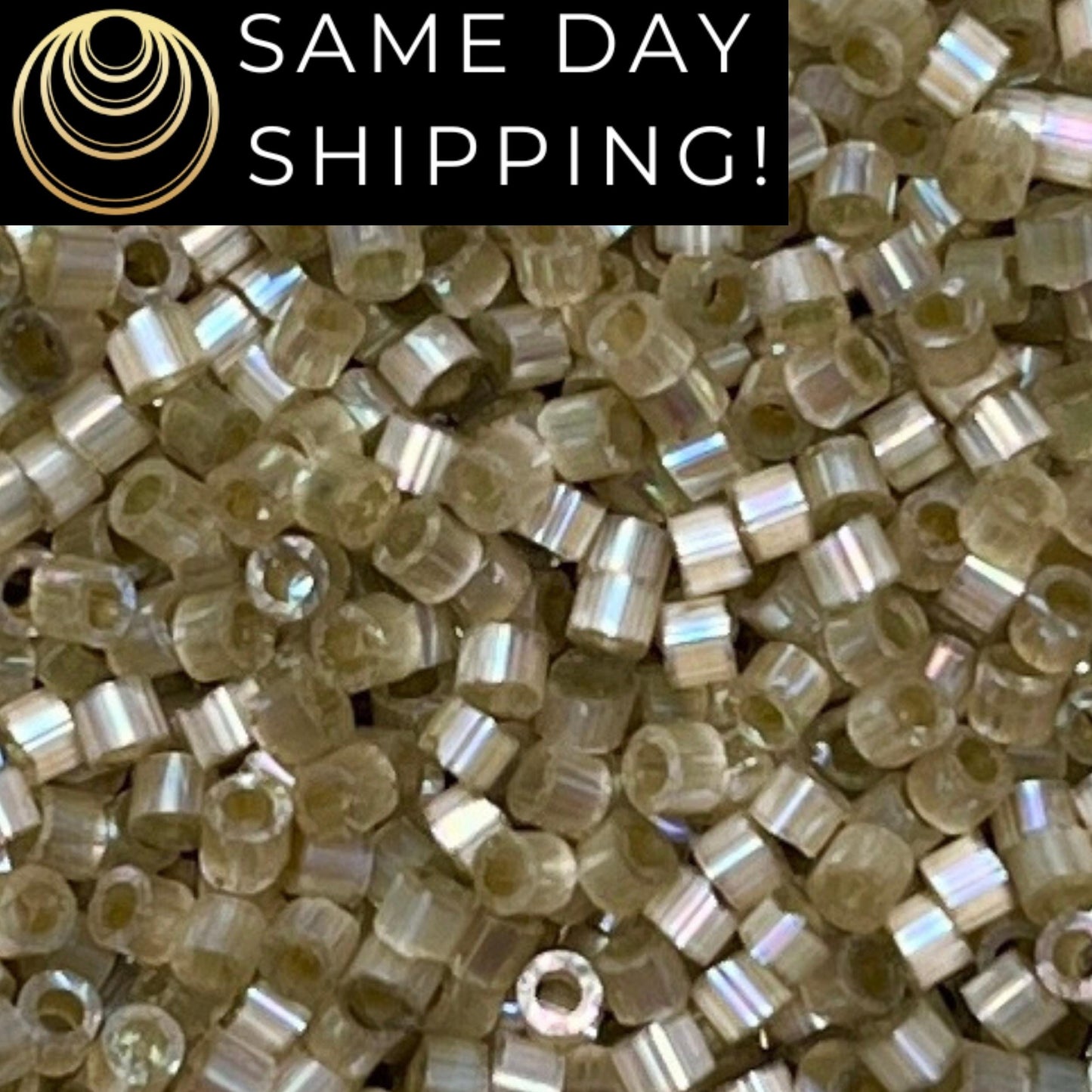 DB1876 (1 Gram -20 Grams) Miyuki Size 11/0 Delica Beads Silk Inside Dyed Cactus AB-Free Container! Same Day Shipping! DB-1876 DB 1876