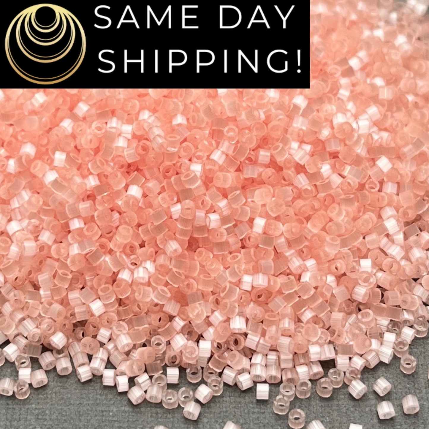 DB825 (1 Gram -20 Grams) Miyuki Size 11/0 Delica Beads Salmon Silk Satin -Free Container! Same Day Shipping!