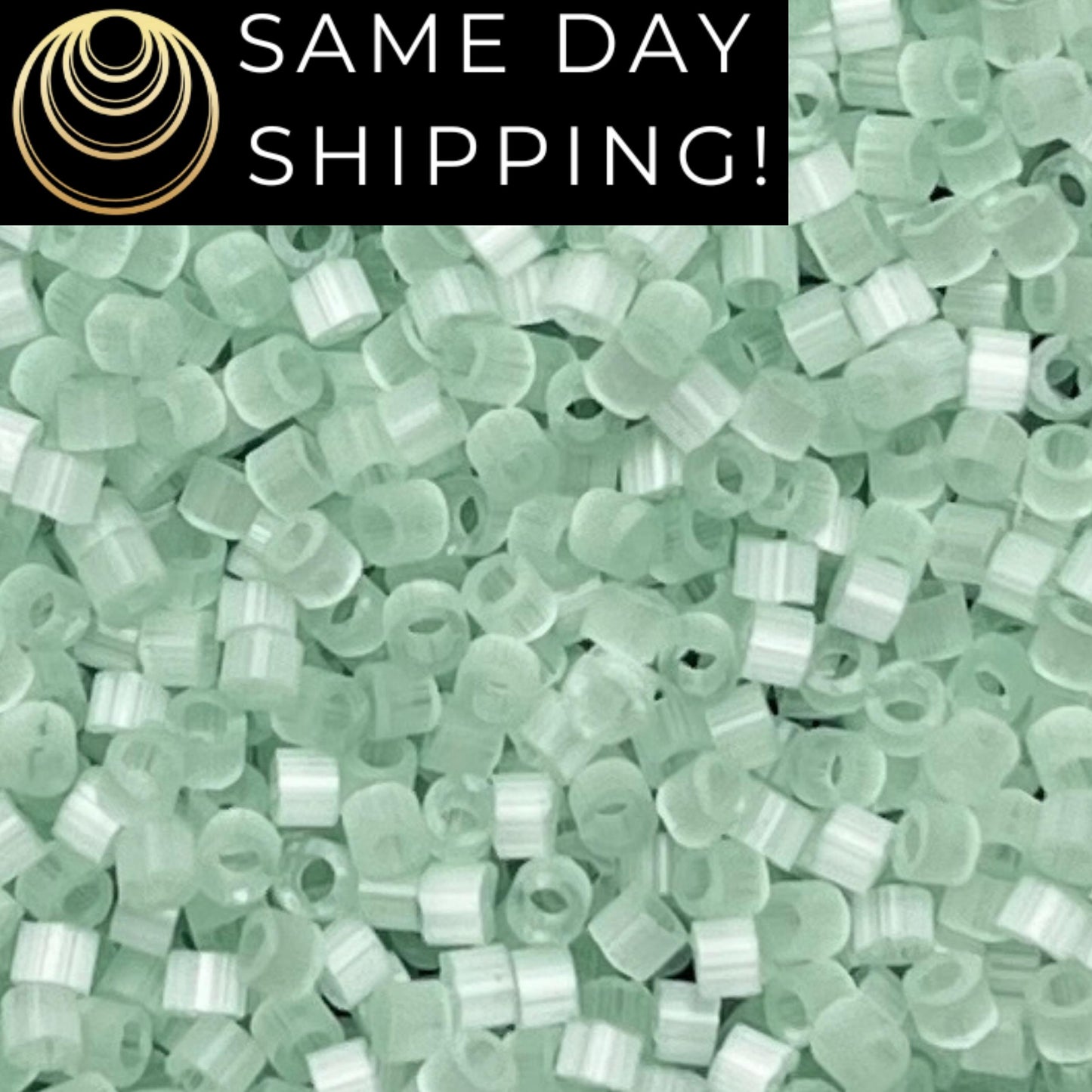 DB828 (1 Gram -20 Grams) Miyuki Size 11/0 Delica Beads Mint Green Silk Satin -Free Container! Same Day Shipping!