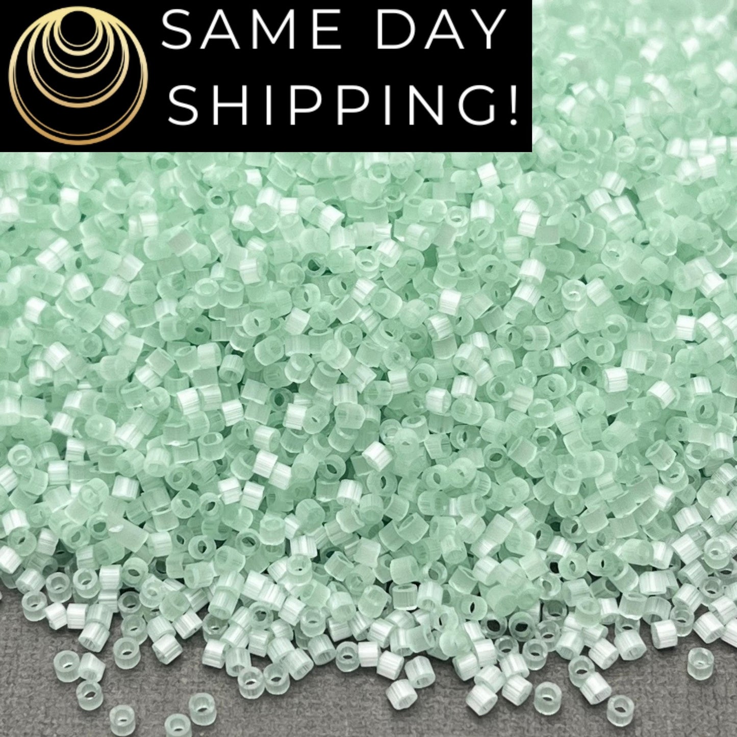 DB828 (1 Gram -20 Grams) Miyuki Size 11/0 Delica Beads Mint Green Silk Satin -Free Container! Same Day Shipping!