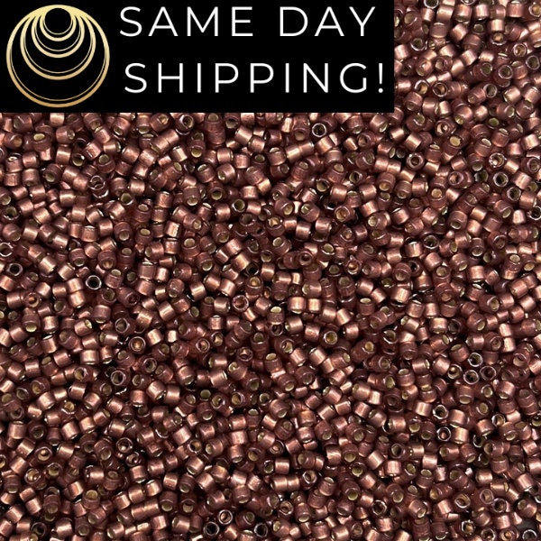 SAME DAY SHIPPING! 1-20 Grams Miyuki 11/0 Delica Beads Duracoat Semi-Frosted Silver-Lined Dyed Raisin DB2183-Free Container!