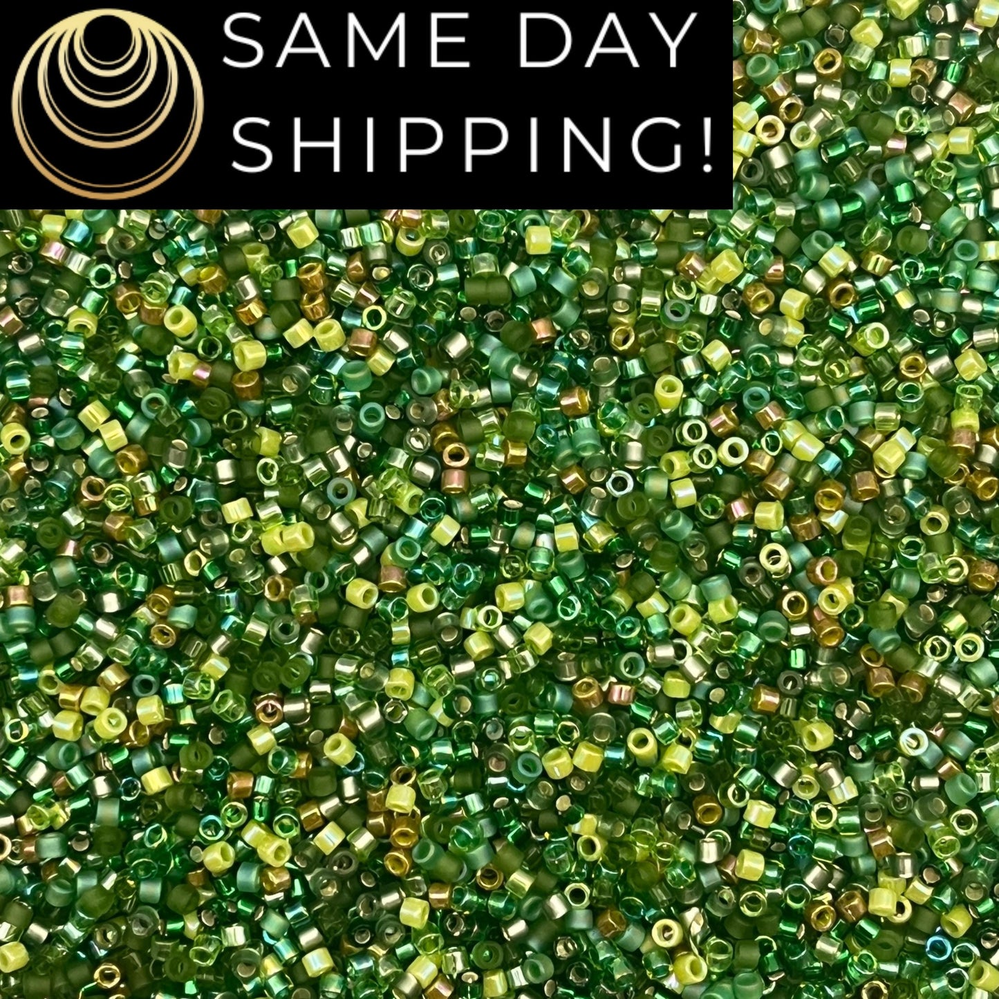 DBMIX03 SAME DAY SHIPPING! 1-20 Grams Miyuki 11/0 Delica Beads Evergreen -Free Container!
