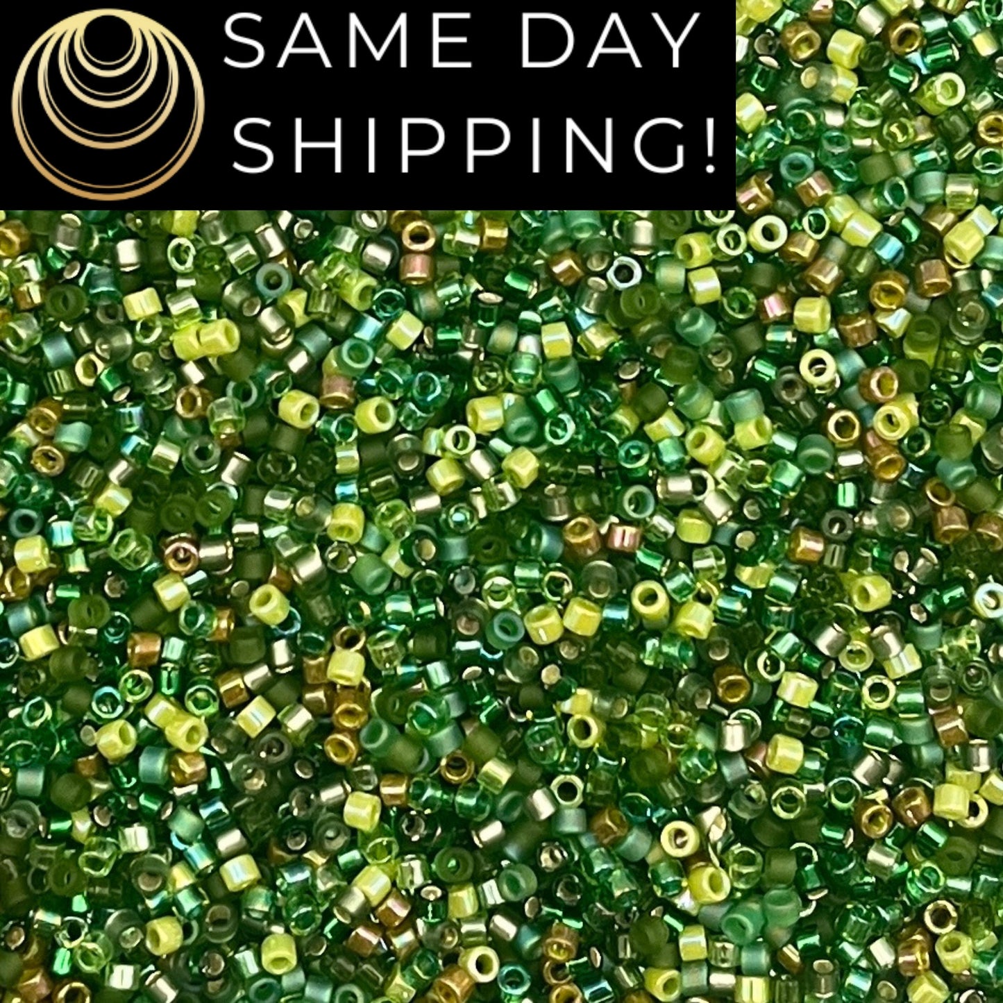 DBMIX03 SAME DAY SHIPPING! 1-20 Grams Miyuki 11/0 Delica Beads Evergreen -Free Container!