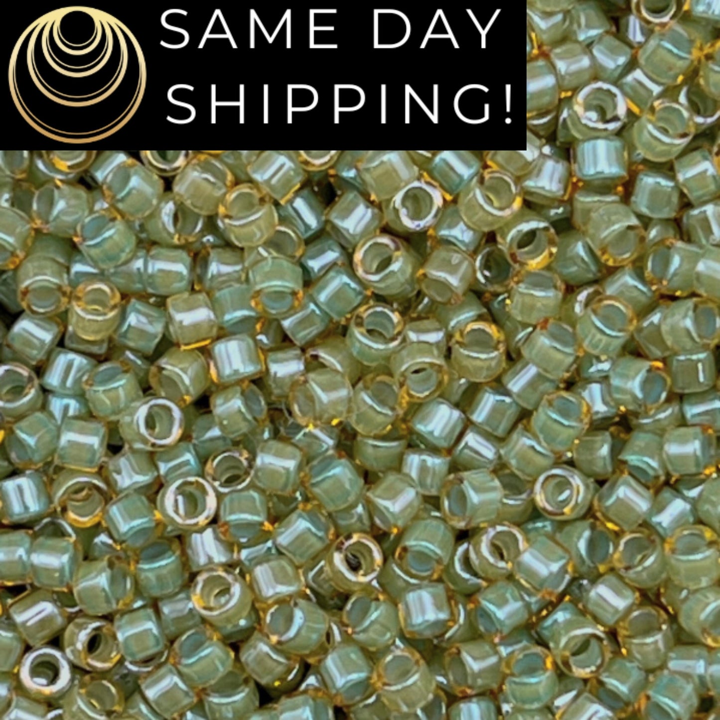 DB2052 SAME DAY SHIPPING! 1-20 Grams Miyuki 11/0 Delica Beads Luminous Asparagus Green-Free Container!