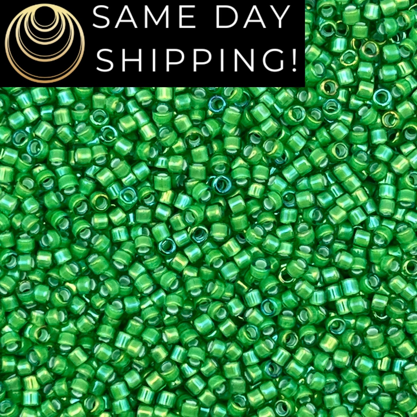 DB1787 SAME DAY SHIPPING! 1-20 Grams Miyuki 11/0 Delica Beads White Lined Green -Free Container!