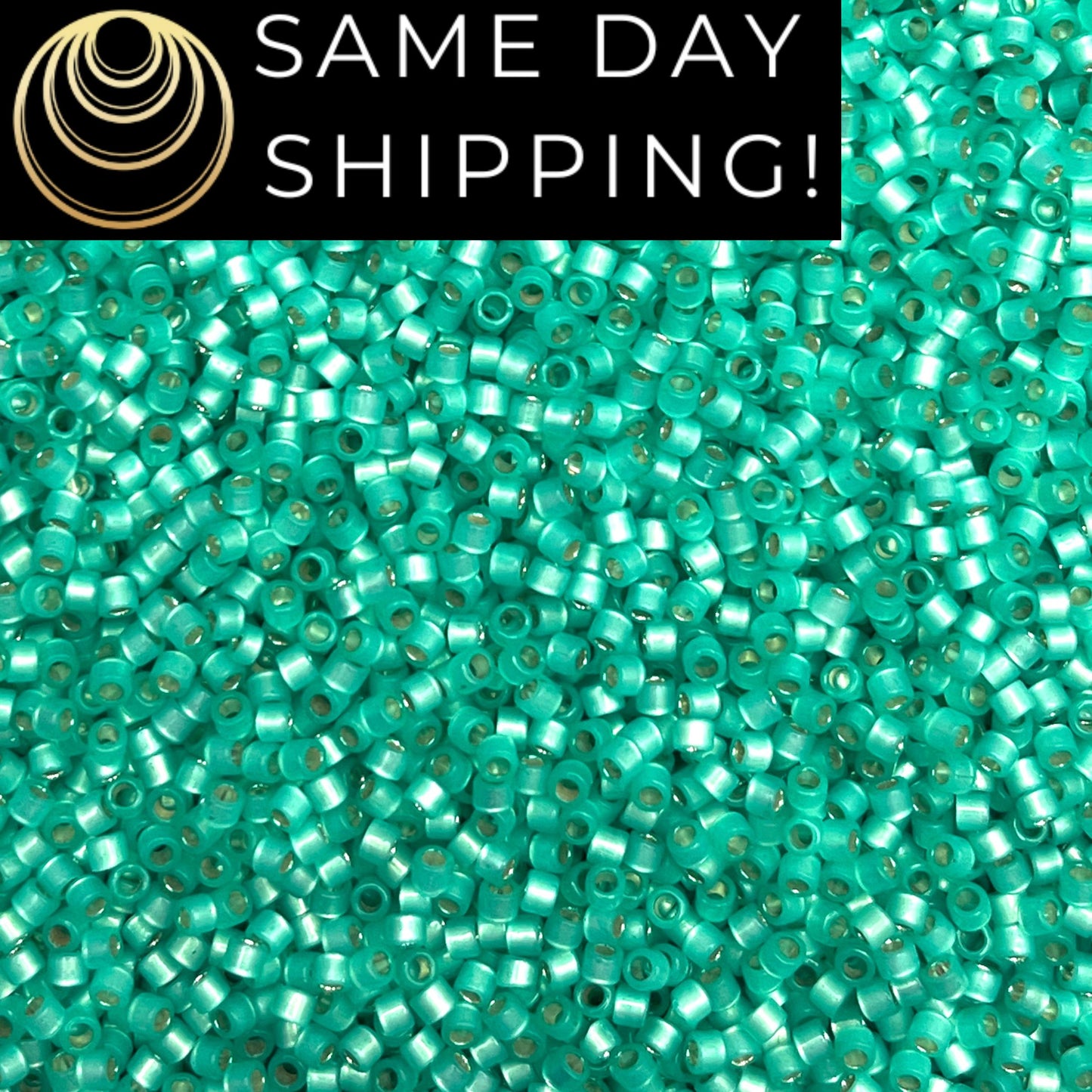 DB627 SAME DAY SHIPPING! 1-20 Grams Miyuki 11/0 Delica Beads Dyed Aqua Green Silver Lined Alabaster-Free Container!