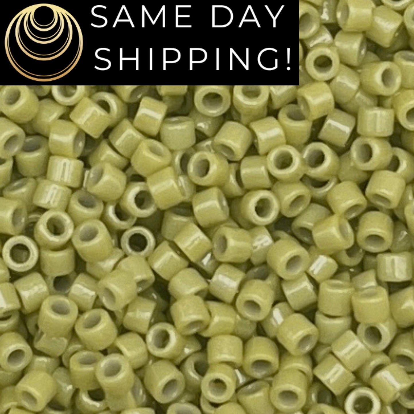 DB2124 11/0 Miyuki Delica Beads Duracoat Opaque Cactus