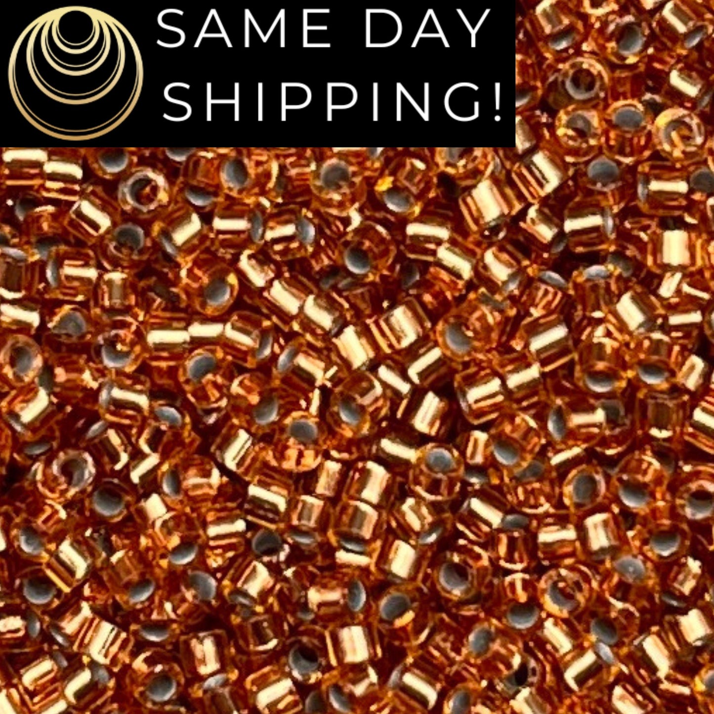 DB181 SAME DAY SHIPPING! 1-20 Grams Miyuki 11/0 Delica Beads Silver Lined Light Bronze-Free Container!