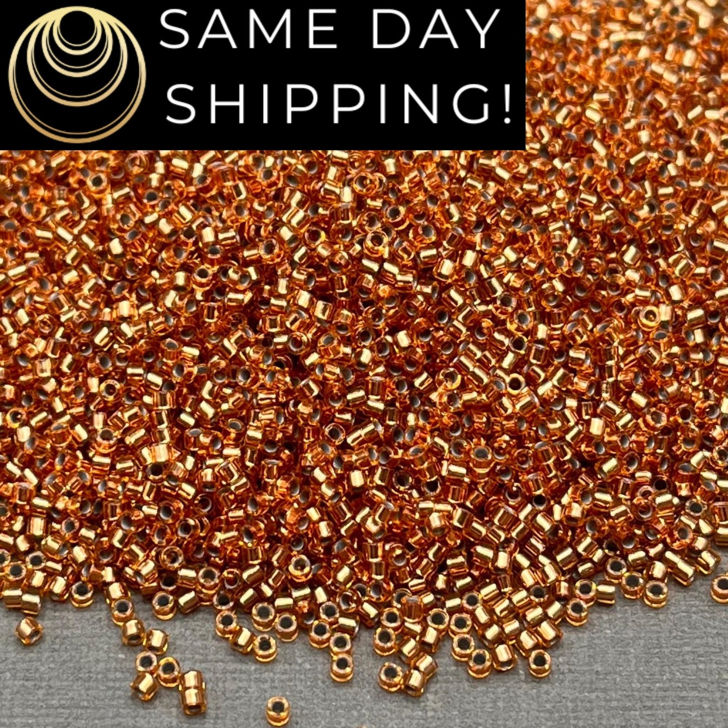 DB181 SAME DAY SHIPPING! 1-20 Grams Miyuki 11/0 Delica Beads Silver Lined Light Bronze-Free Container!
